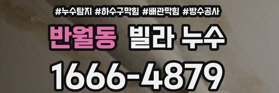 반월동 빌라 누수