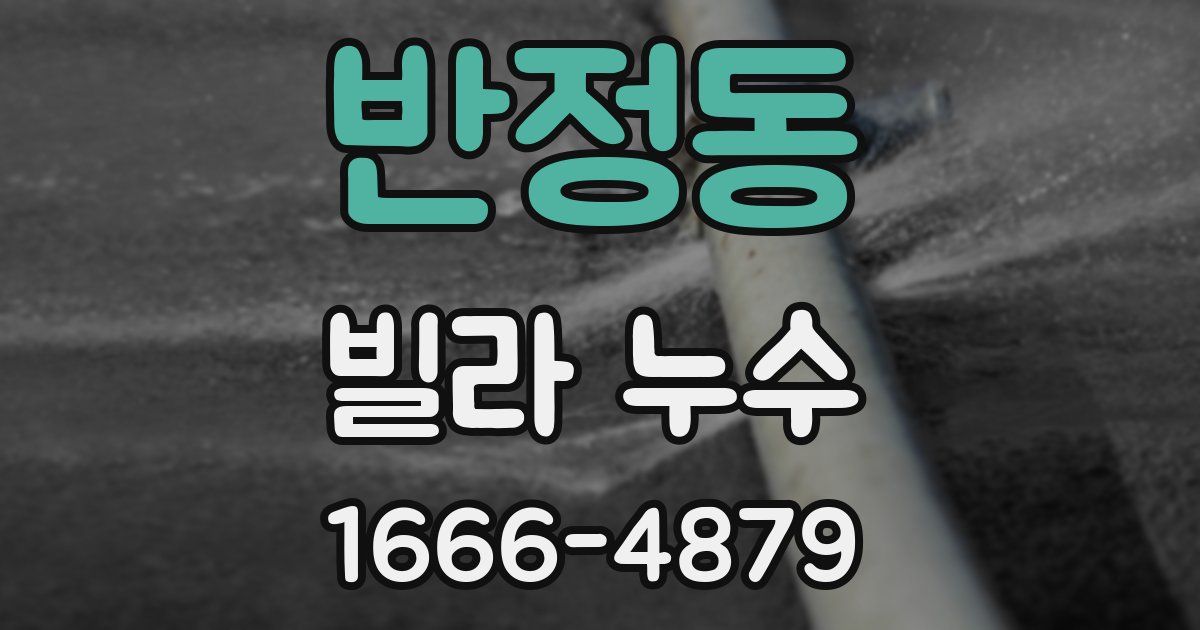 반정동 빌라 누수
