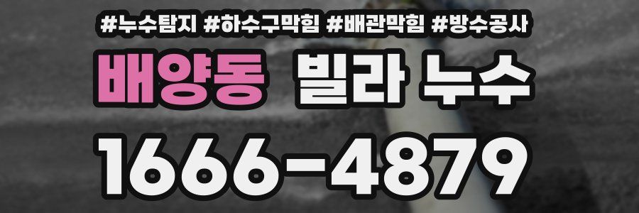 배양동 빌라 누수