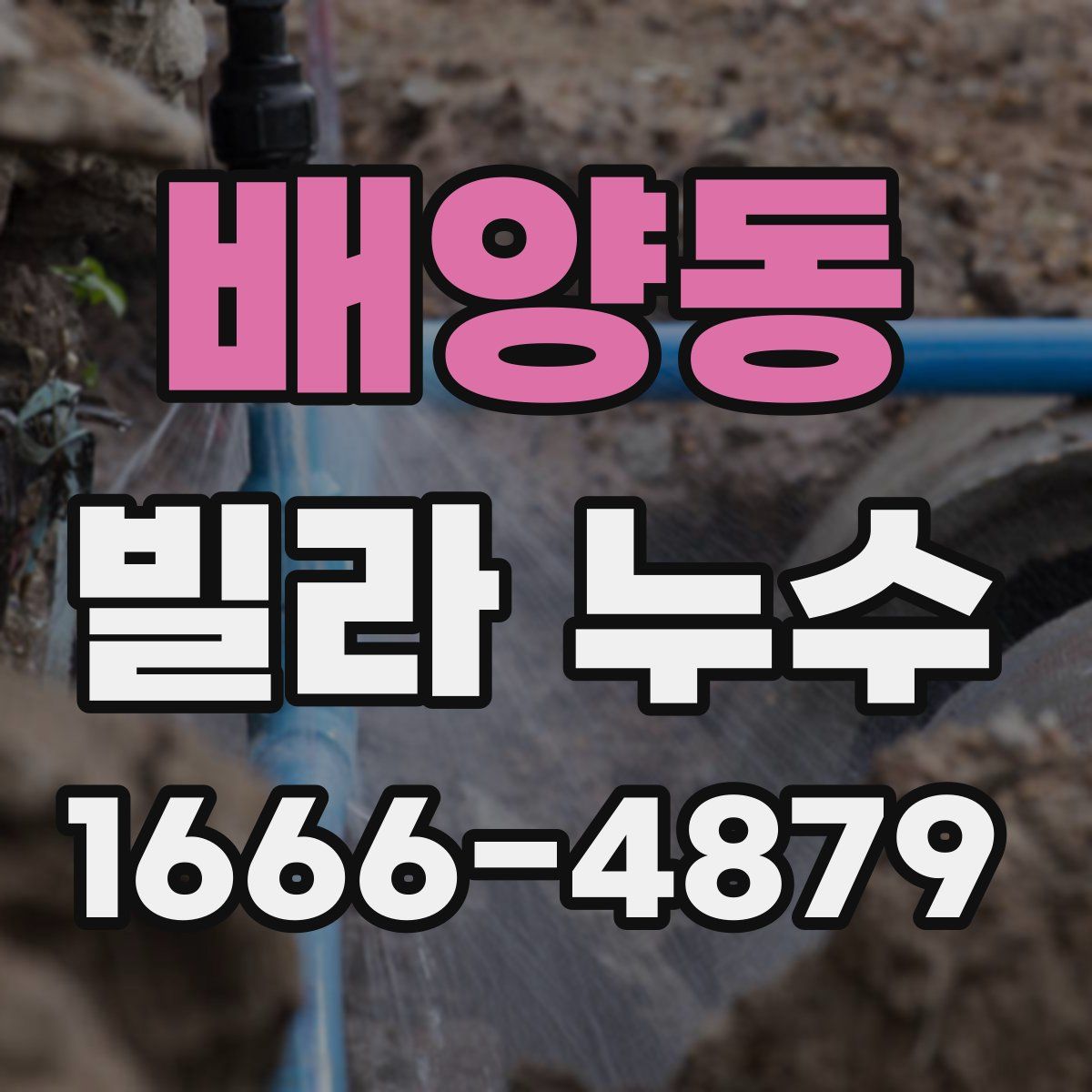 배양동 빌라 누수