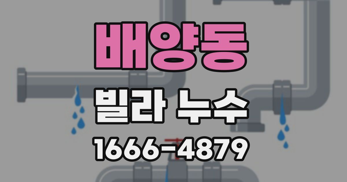 배양동 빌라 누수