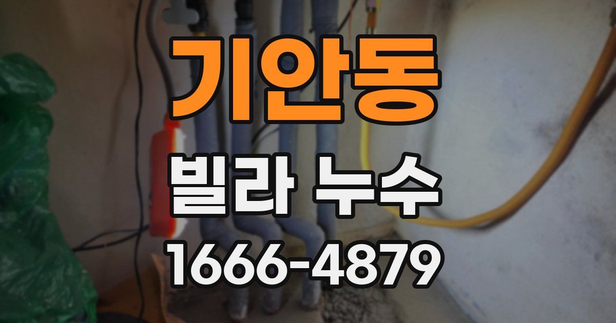 기안동 빌라 누수