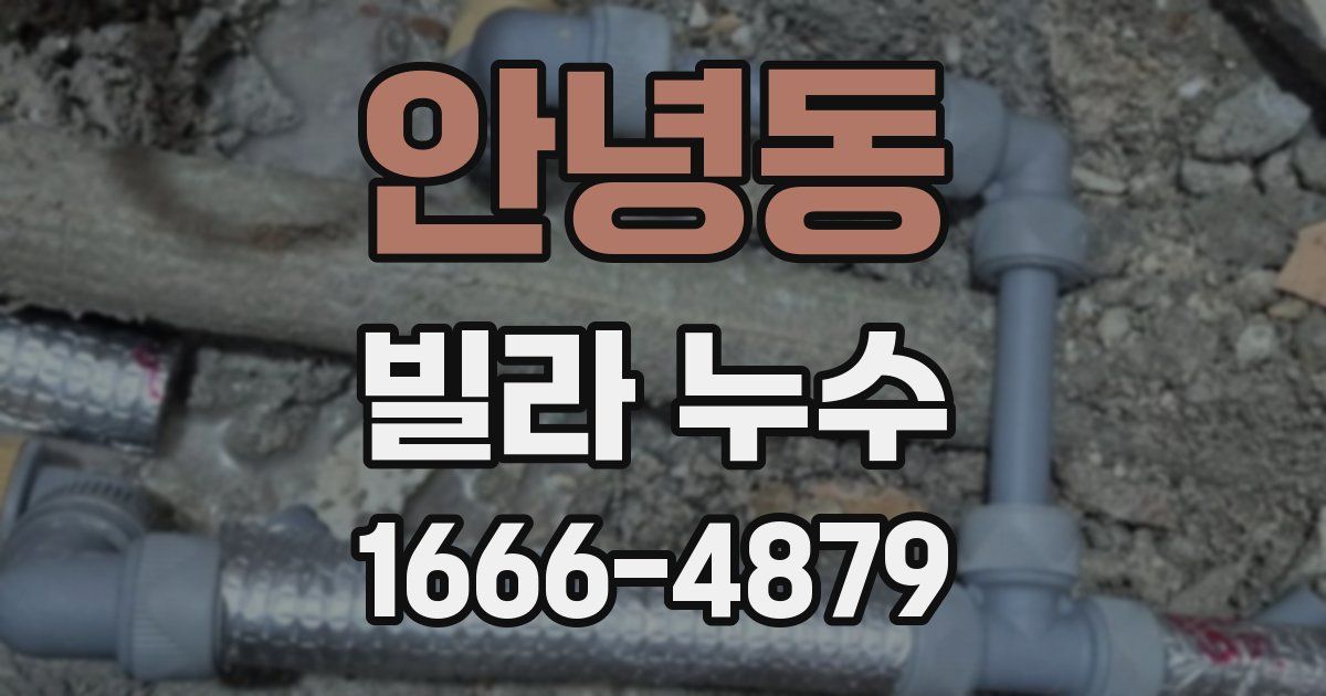 안녕동 빌라 누수