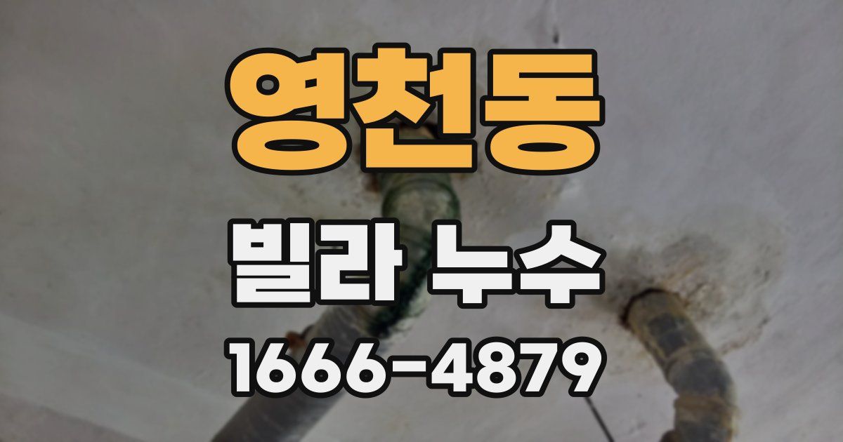 영천동 빌라 누수