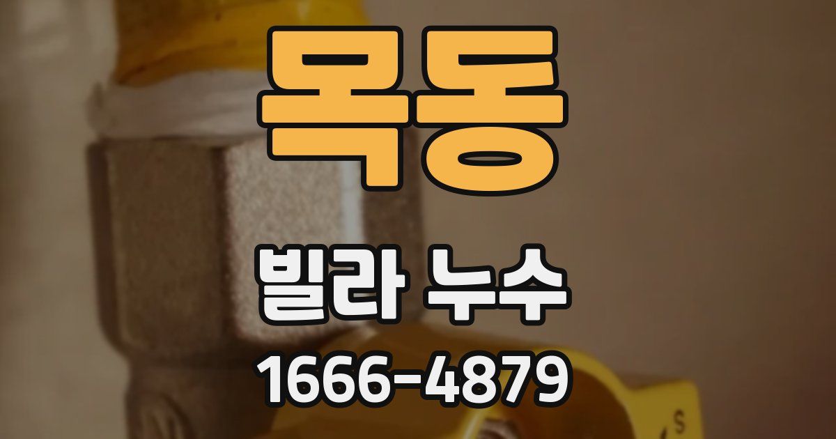 목동 빌라 누수