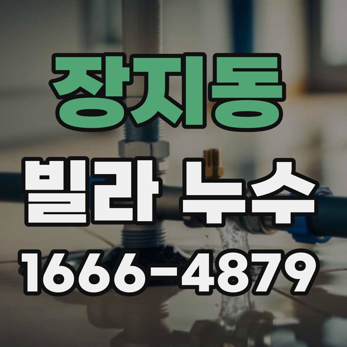 장지동 빌라 누수