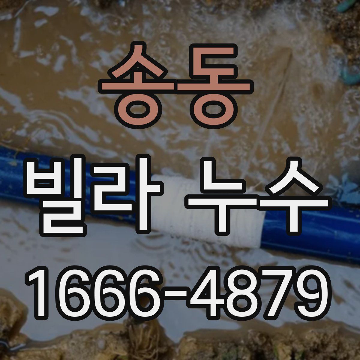 송동 빌라 누수