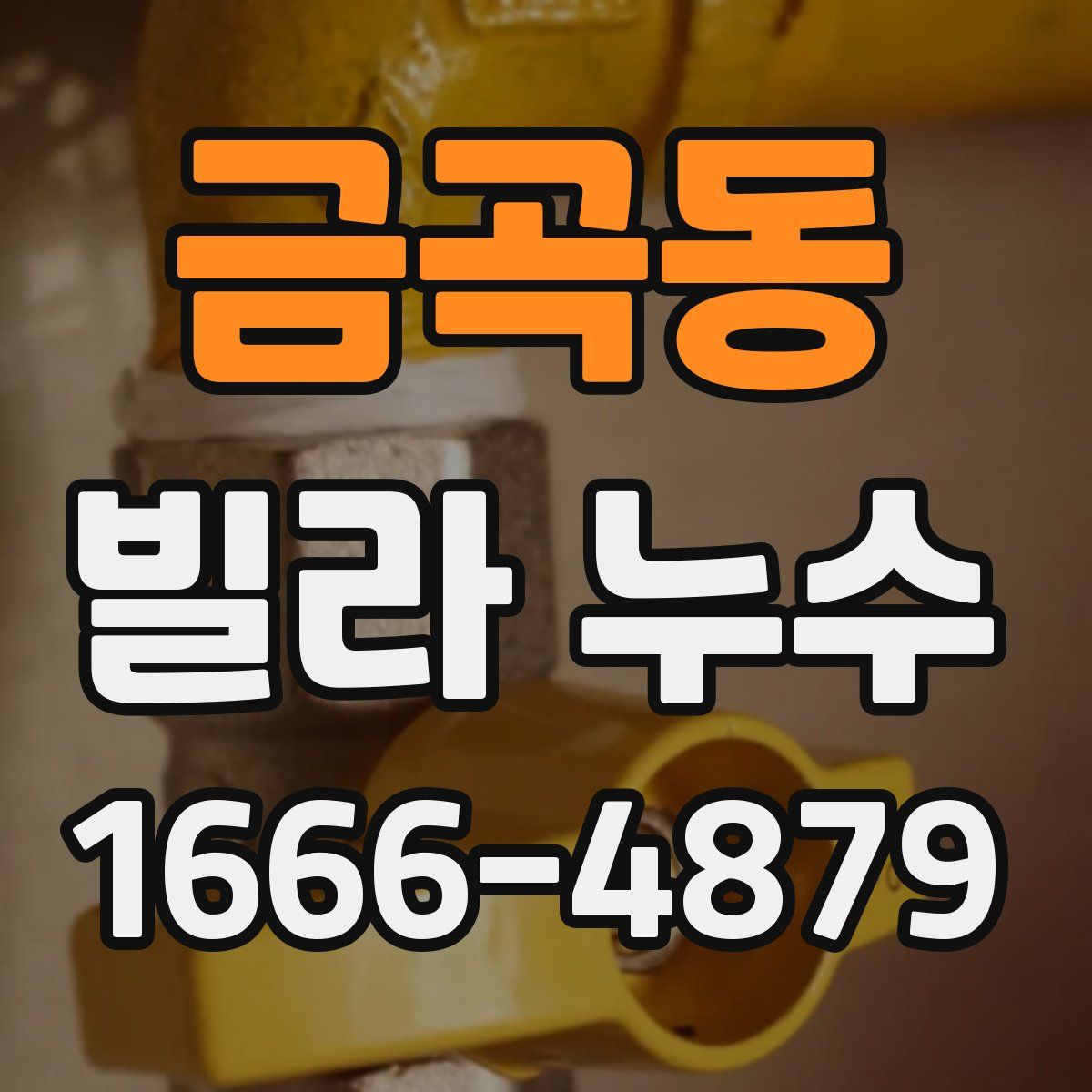 금곡동 빌라 누수