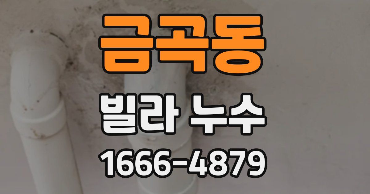 금곡동 빌라 누수