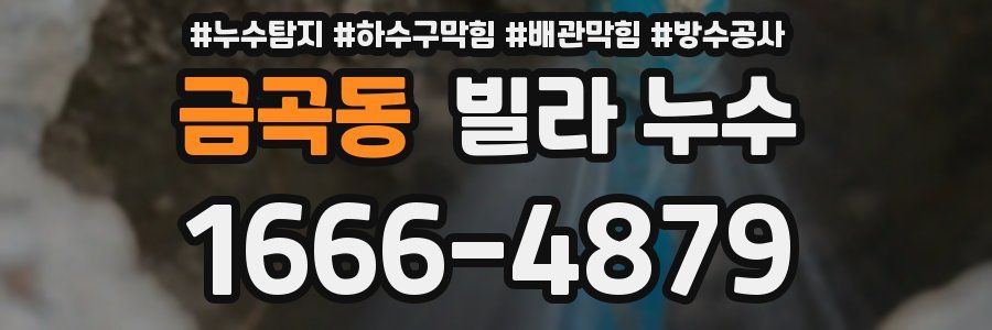 금곡동 빌라 누수
