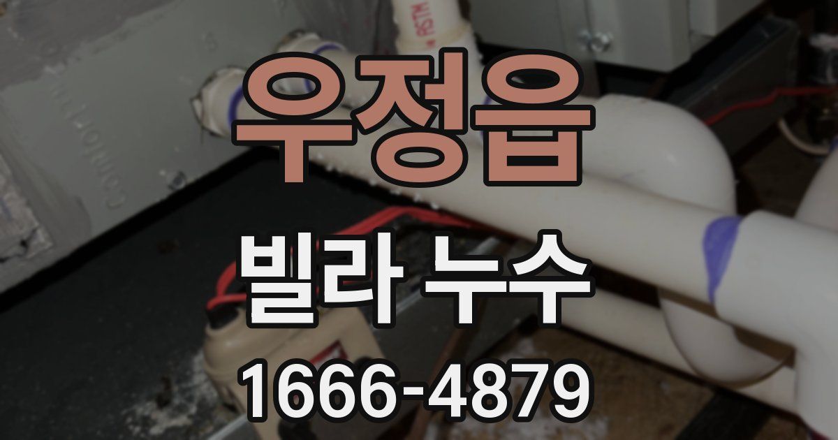 우정읍 빌라 누수
