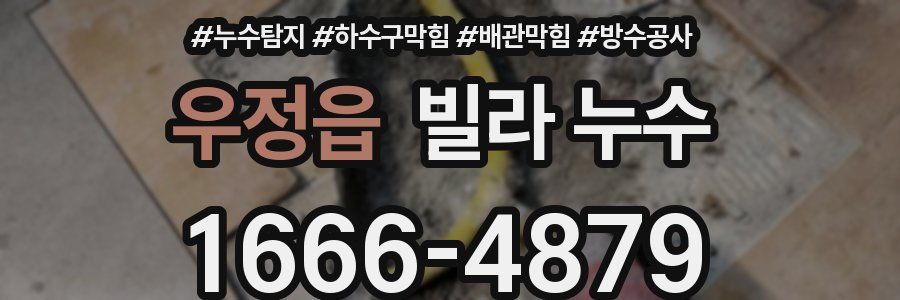 우정읍 빌라 누수