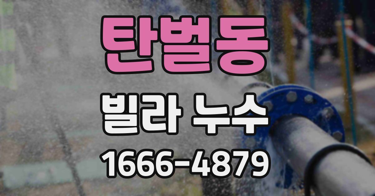 탄벌동 빌라 누수