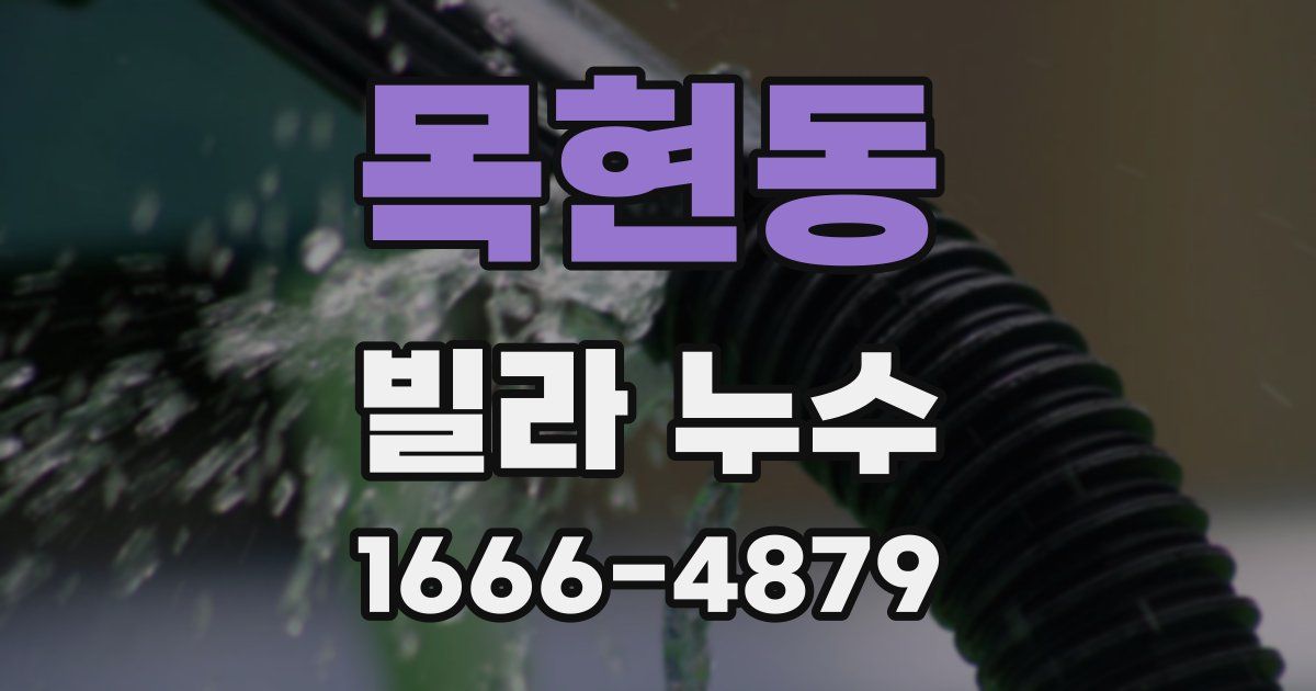 목현동 빌라 누수