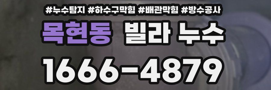 목현동 빌라 누수