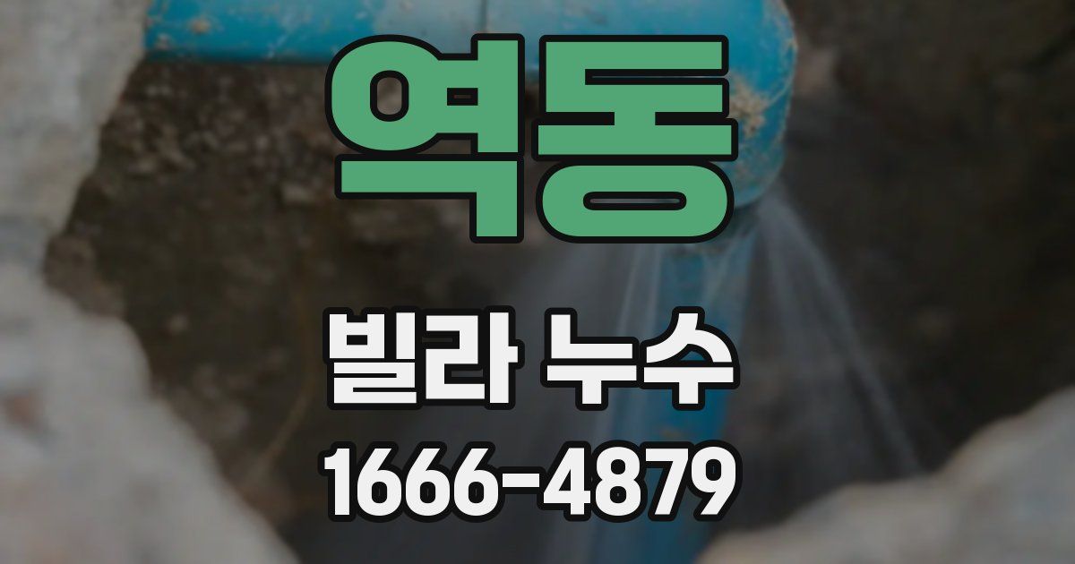 역동 빌라 누수