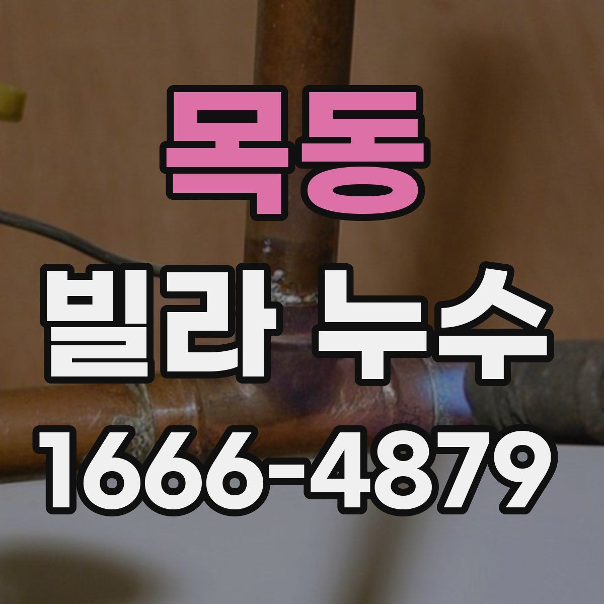 목동 빌라 누수