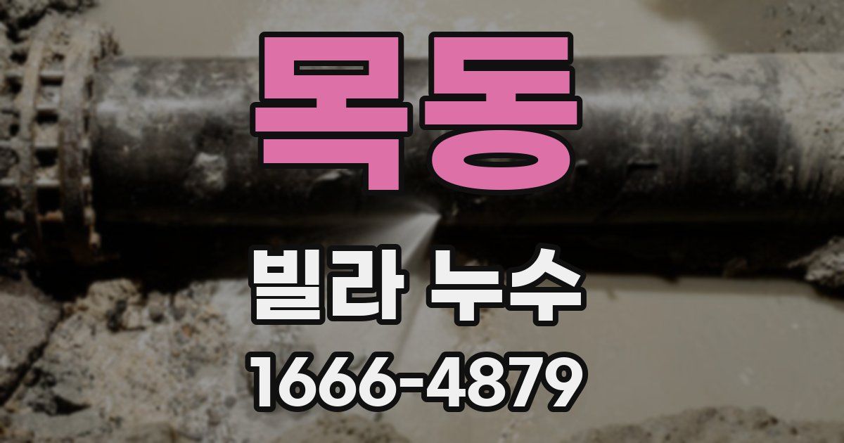 목동 빌라 누수
