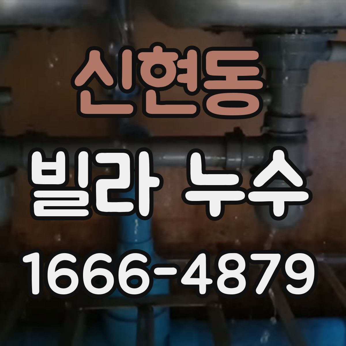 신현동 빌라 누수