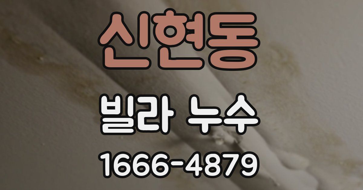 신현동 빌라 누수