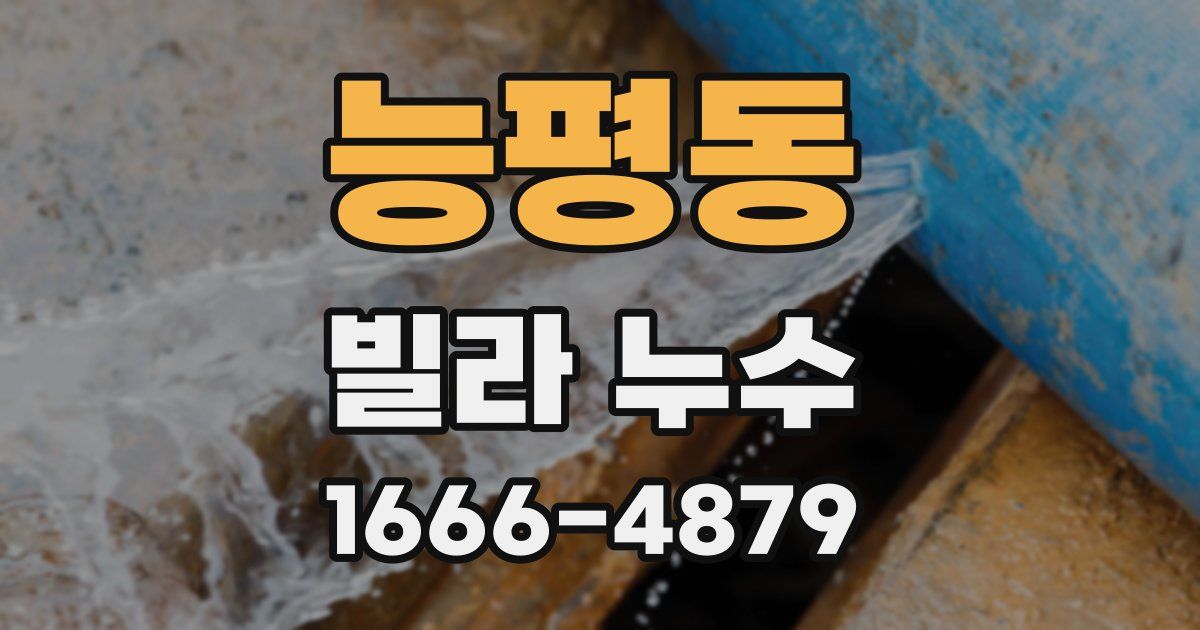 능평동 빌라 누수