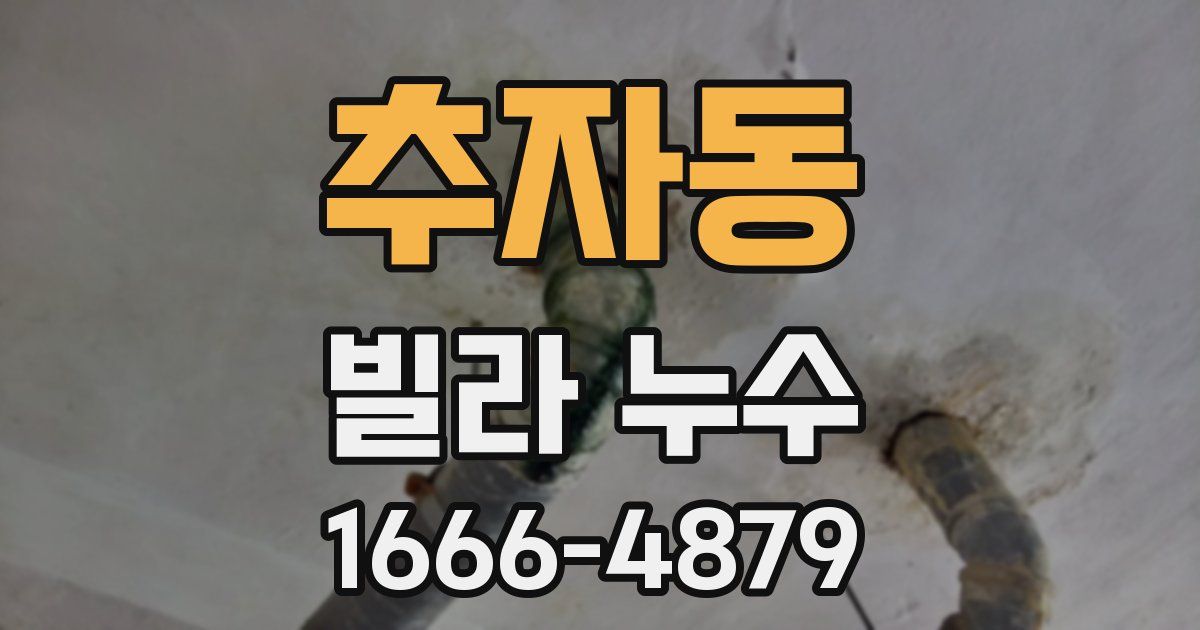 추자동 빌라 누수