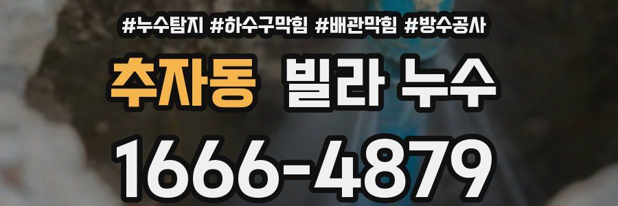 추자동 빌라 누수