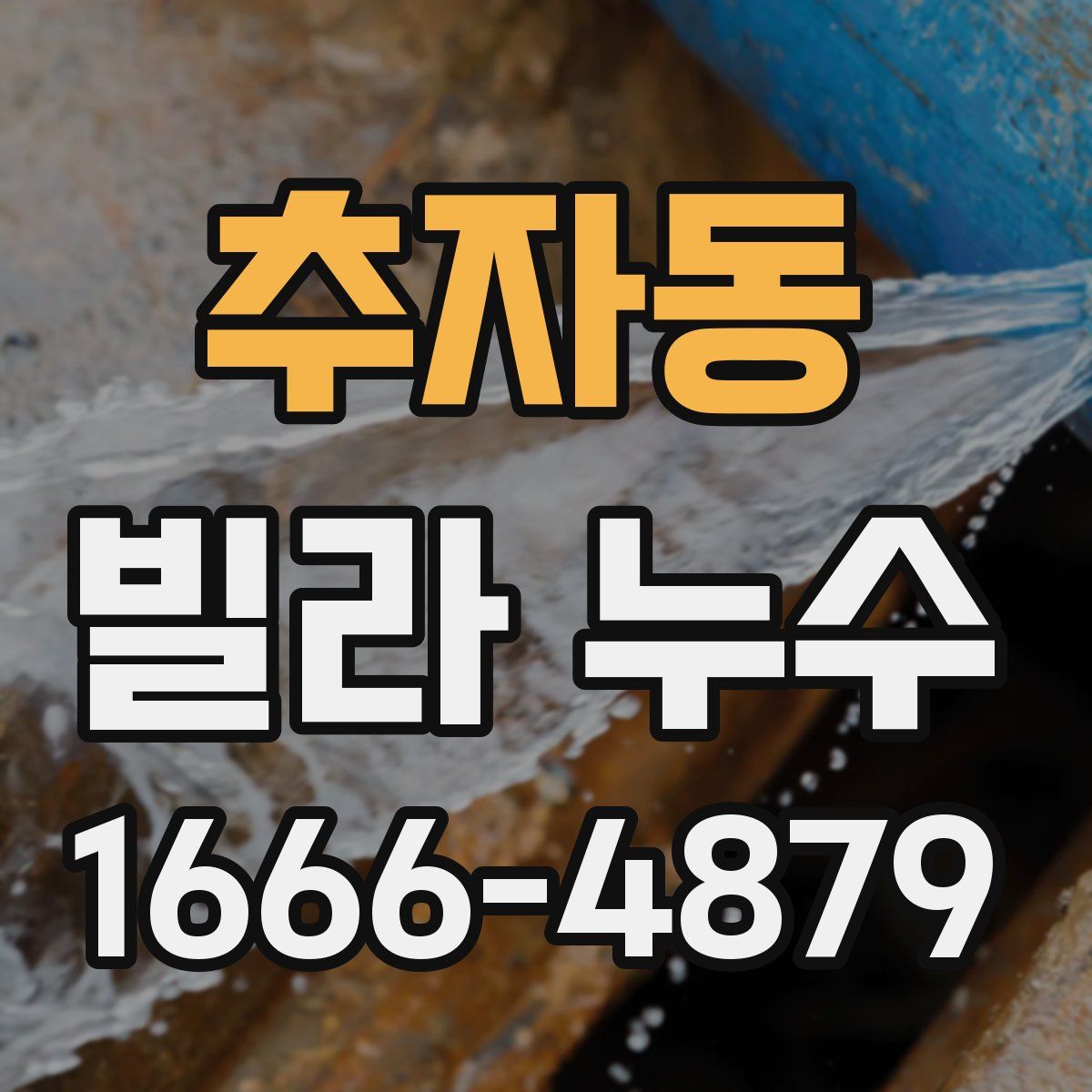 추자동 빌라 누수