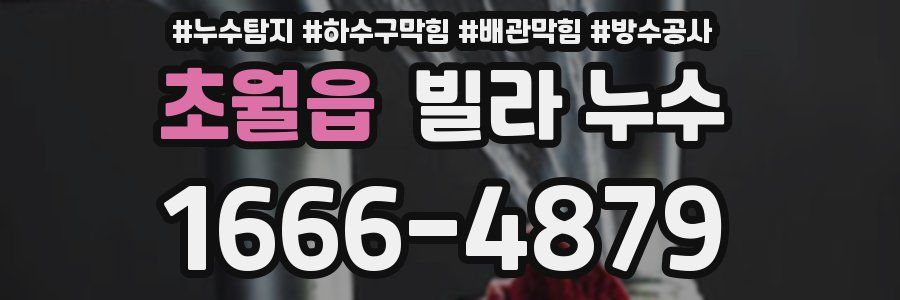 초월읍 빌라 누수