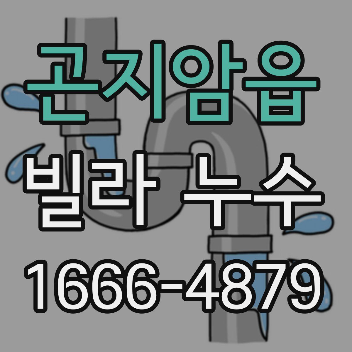 곤지암읍 빌라 누수