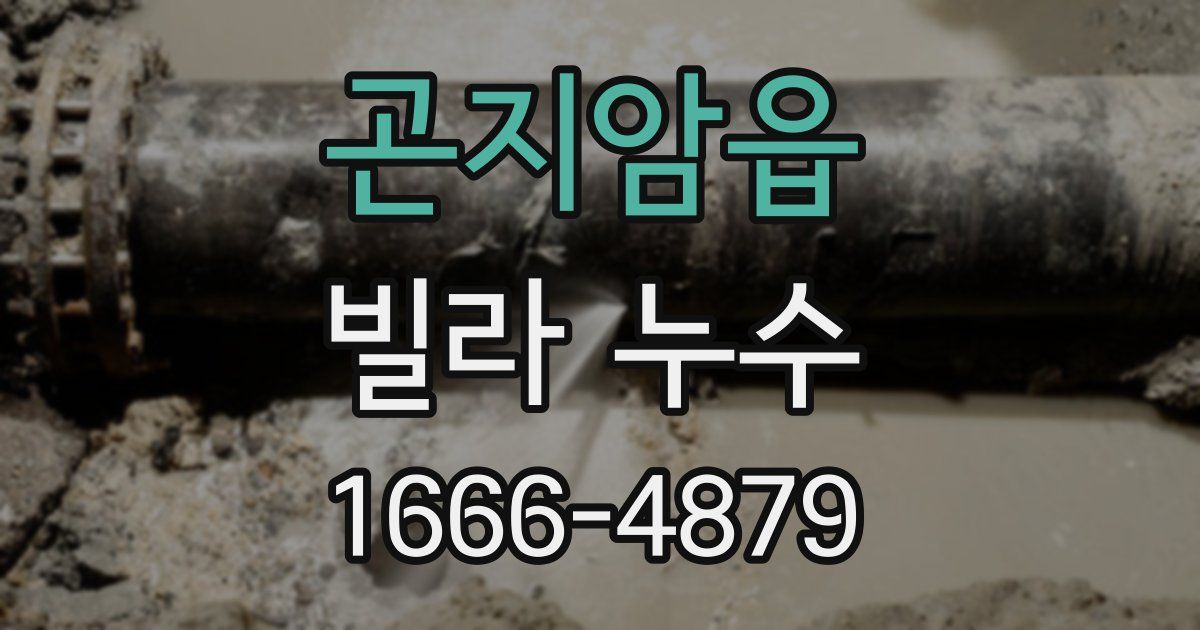 곤지암읍 빌라 누수