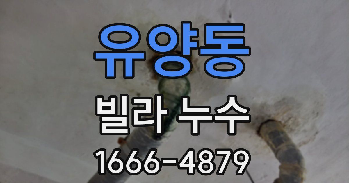 유양동 빌라 누수