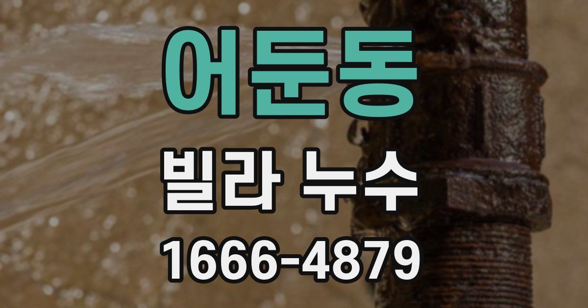 어둔동 빌라 누수