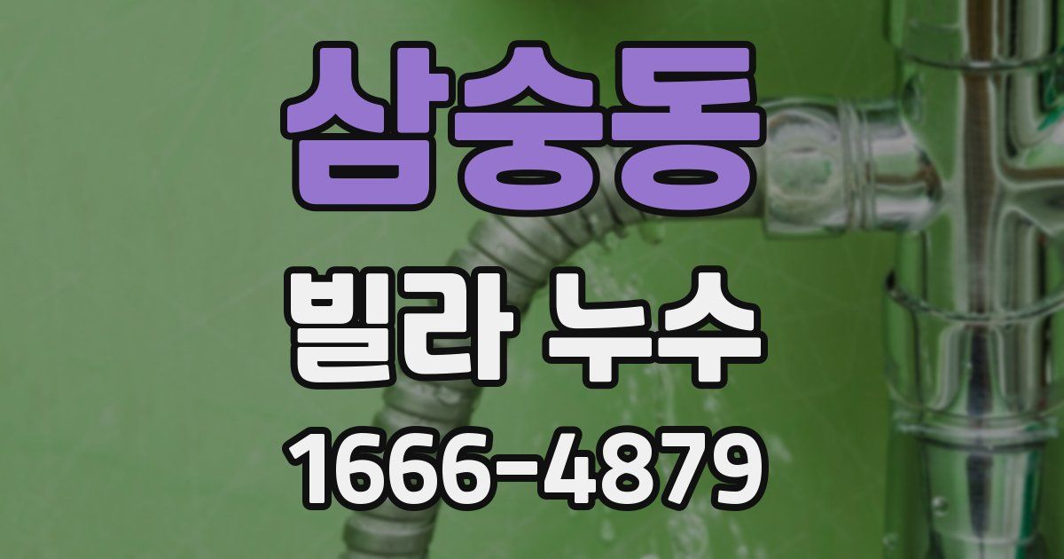 삼숭동 빌라 누수