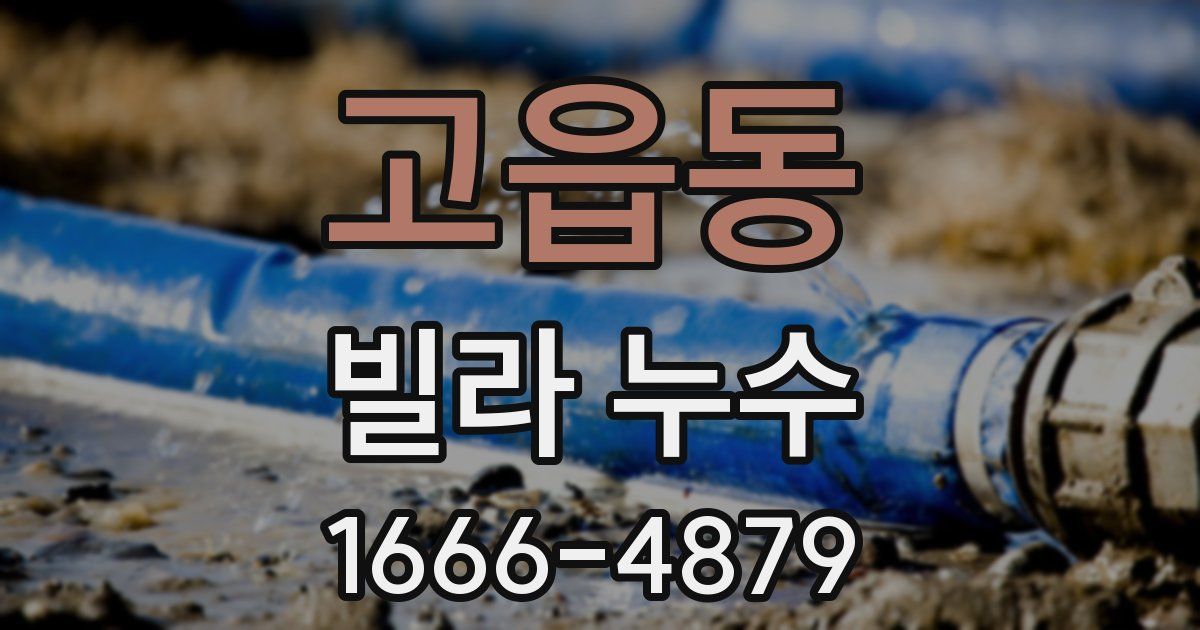 고읍동 빌라 누수