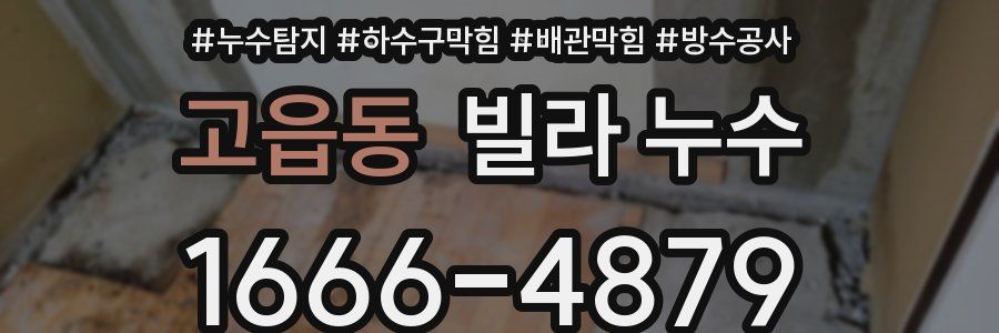 고읍동 빌라 누수