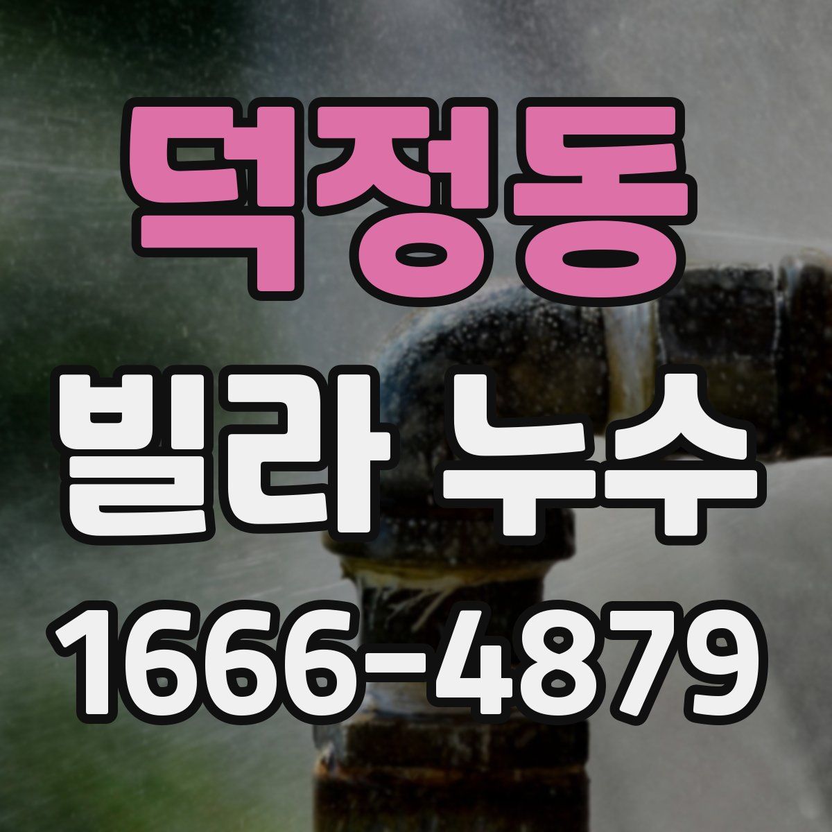 덕정동 빌라 누수