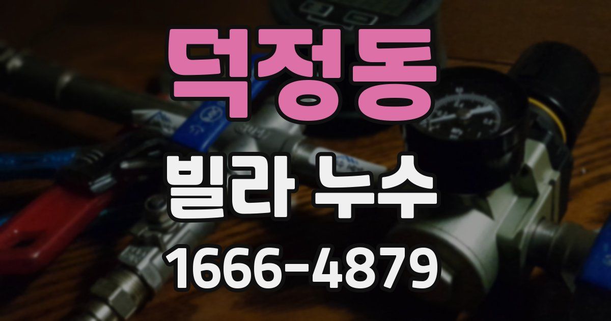 덕정동 빌라 누수