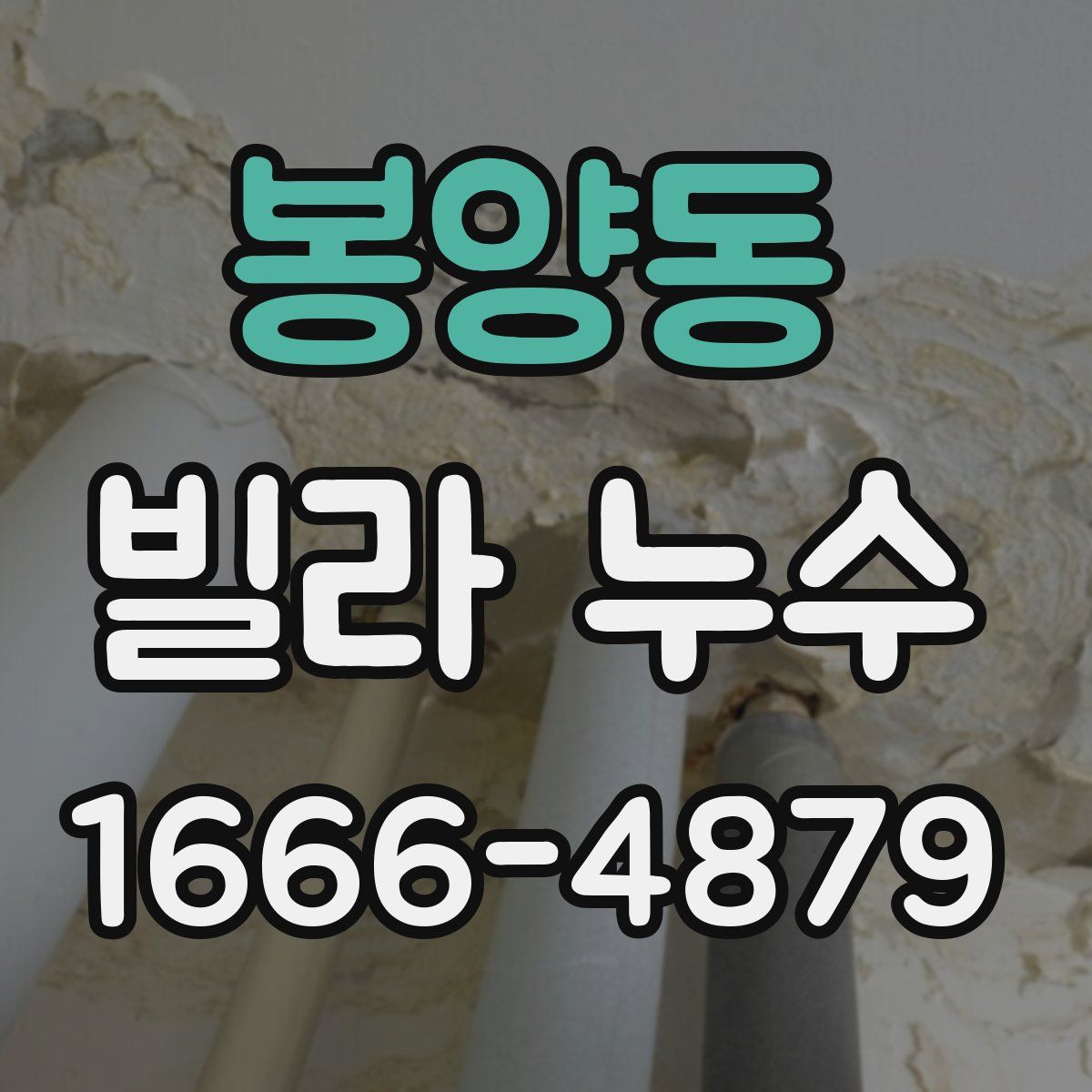 봉양동 빌라 누수