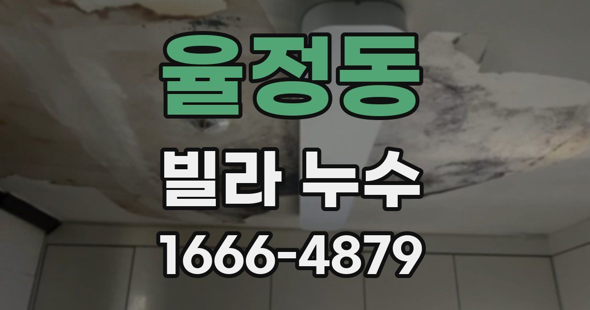 율정동 빌라 누수