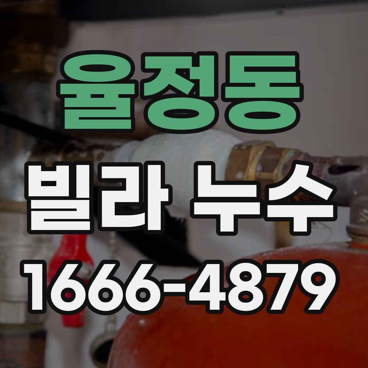 율정동 빌라 누수