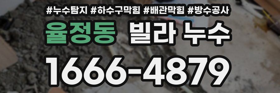 율정동 빌라 누수