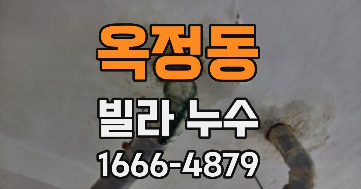 옥정동 빌라 누수