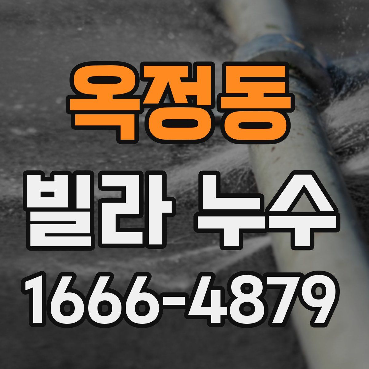 옥정동 빌라 누수