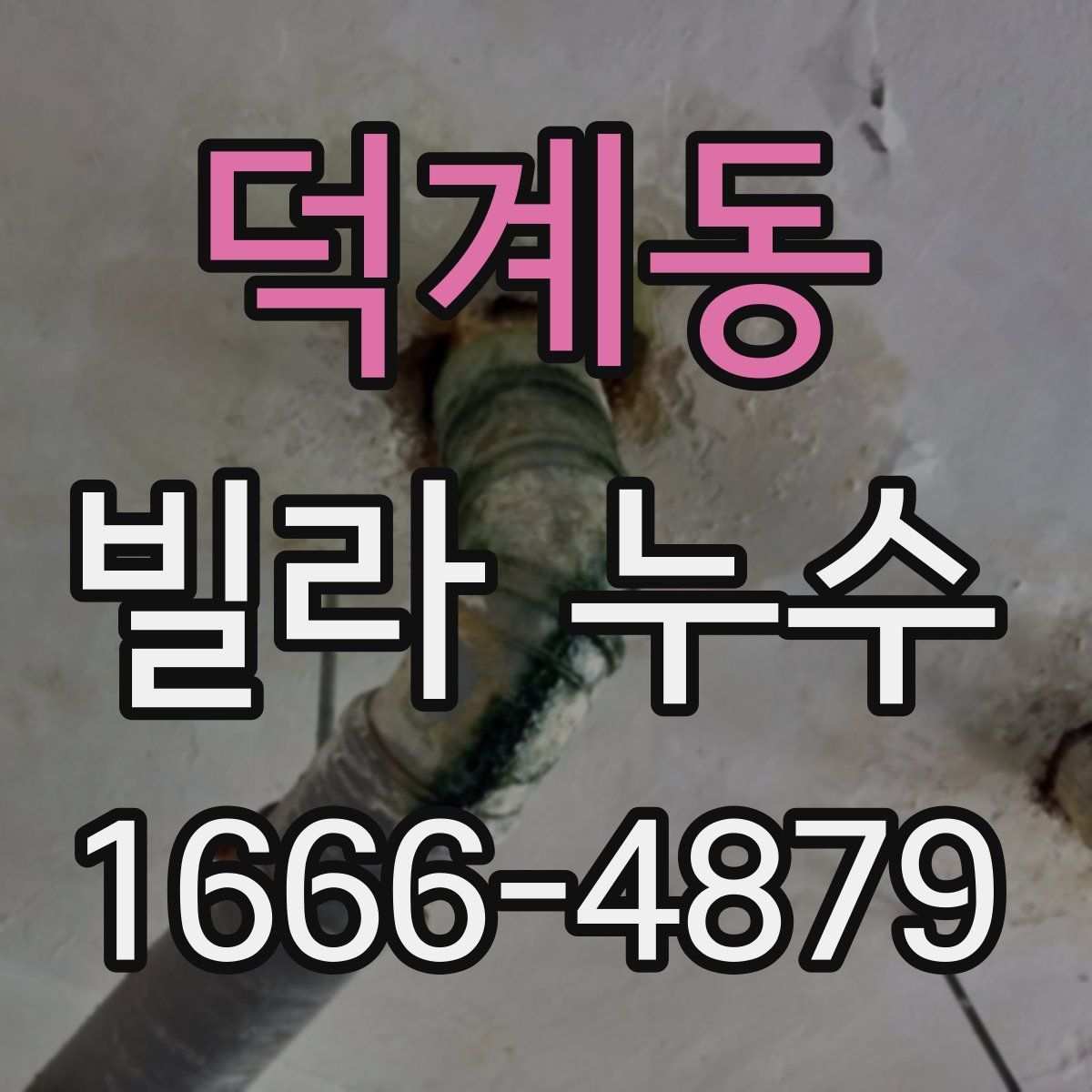 덕계동 빌라 누수