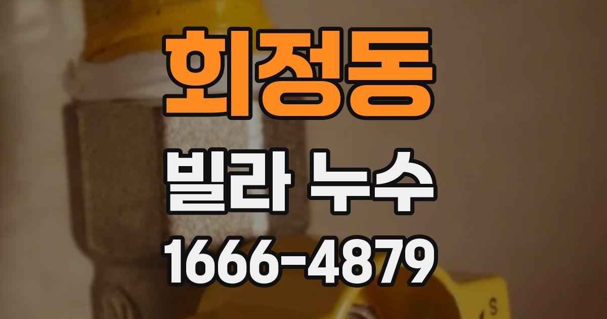 회정동 빌라 누수