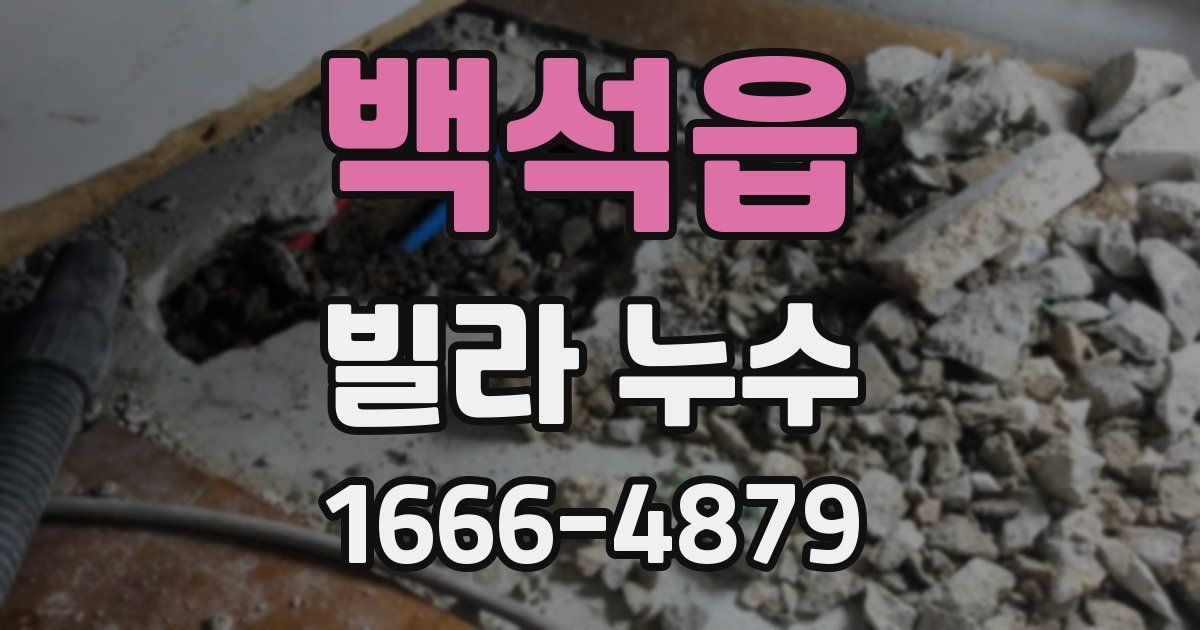 백석읍 빌라 누수