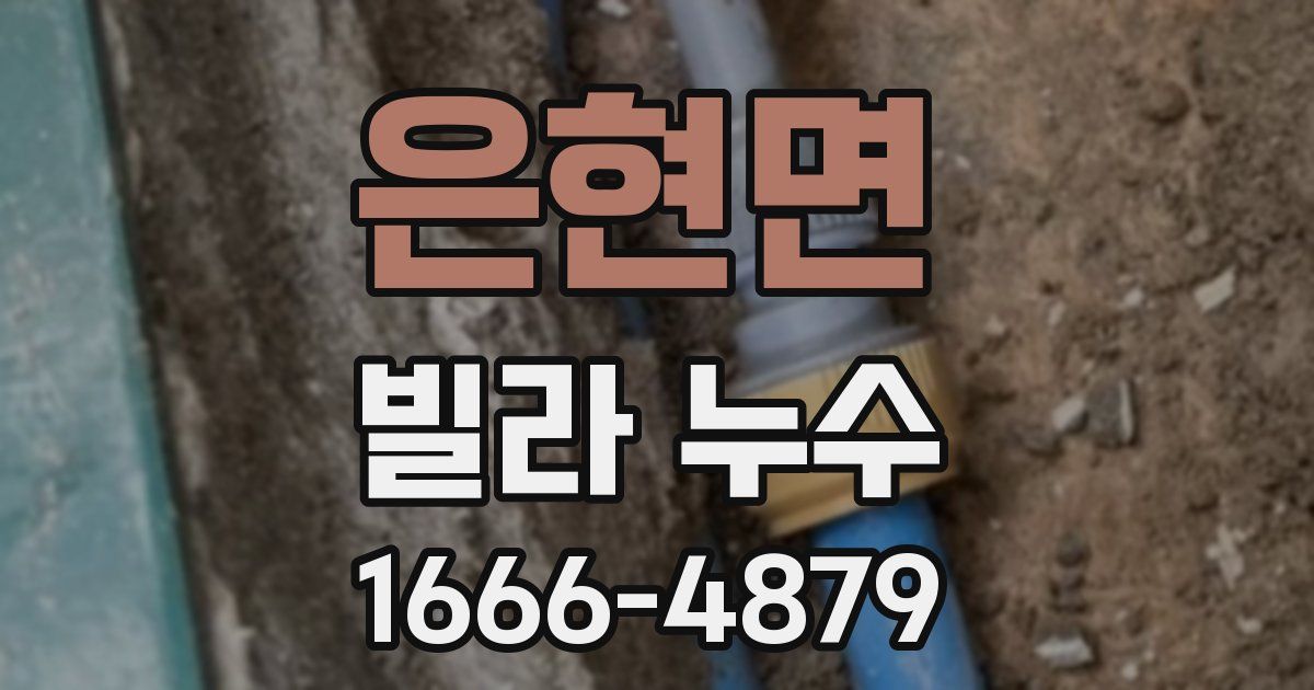 은현면 빌라 누수