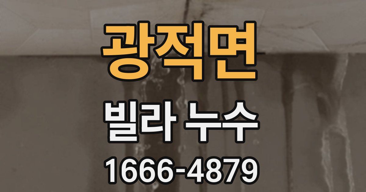 광적면 빌라 누수