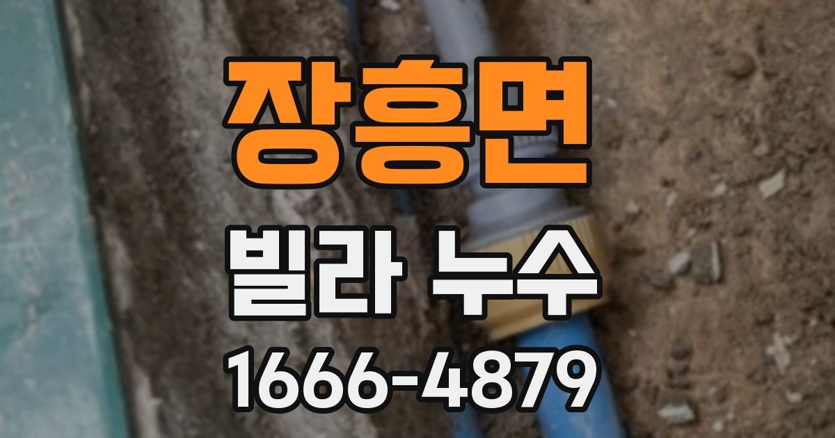 장흥면 빌라 누수